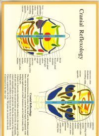 Cranial Reflexology Chart