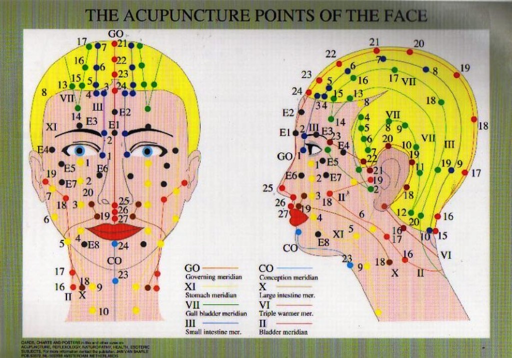 Face Meridian Chart