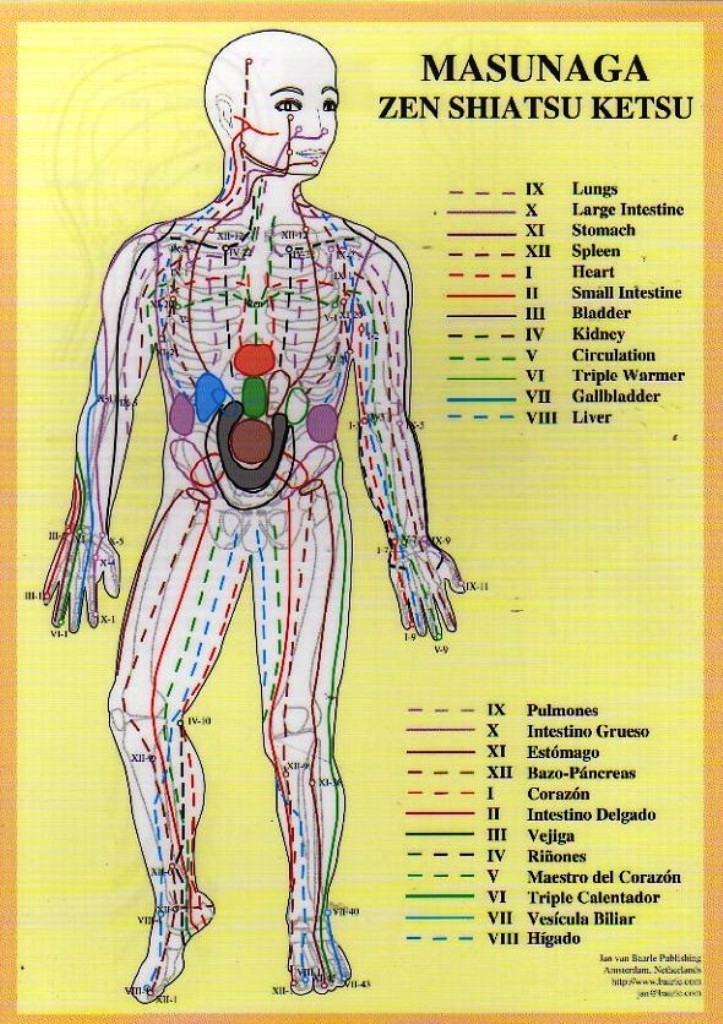 Shiatsu Meridian Chart