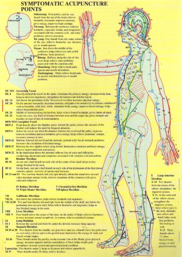 Symptomatic Acupuncture Points: A4 Chart - AcuMedic Shop