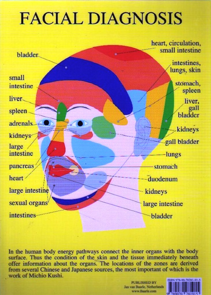 Facial Diagnosis: A4 Chart - AcuMedic Shop