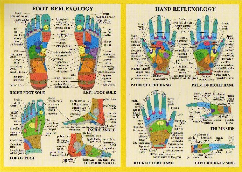 Hand Reflexology Chart