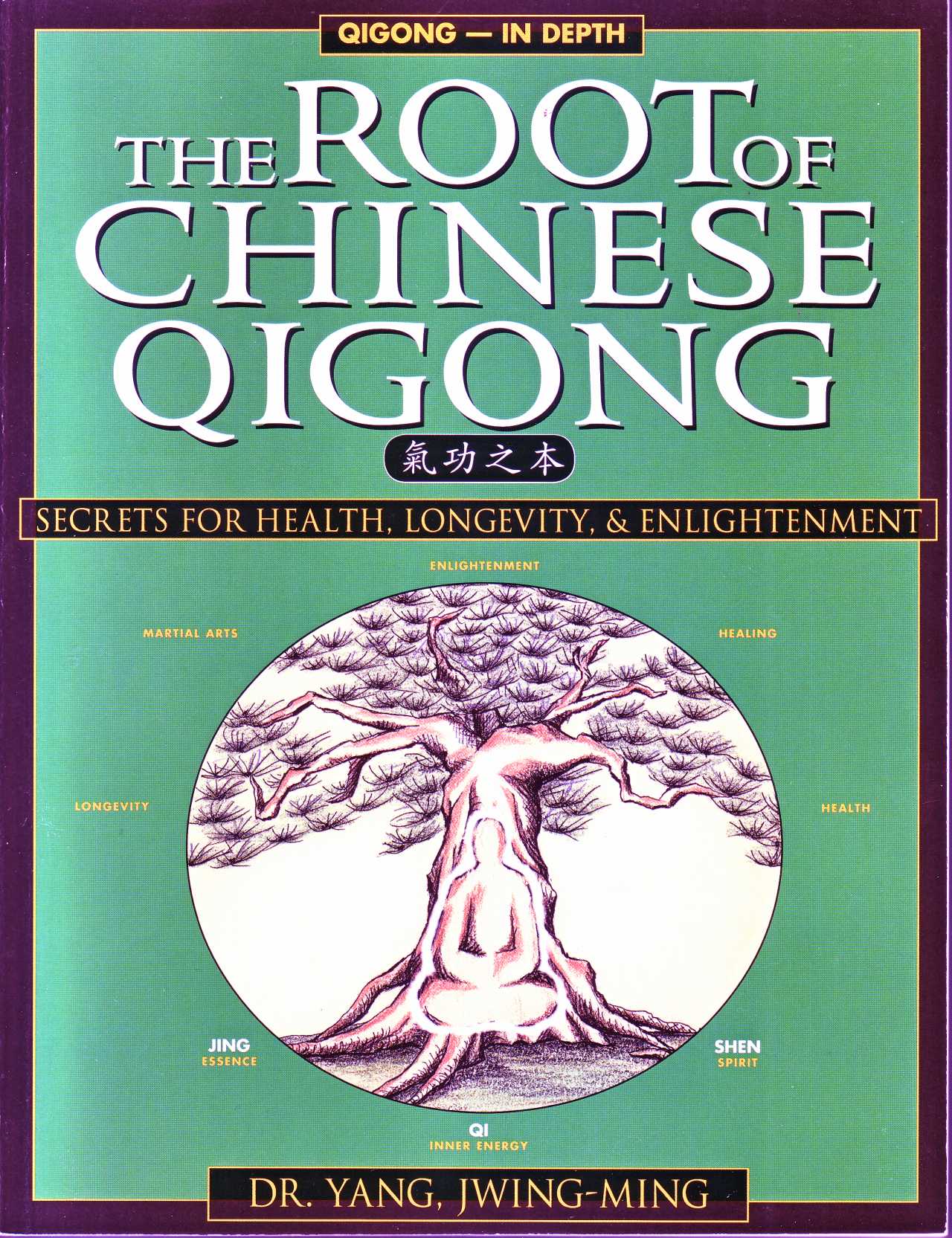 Root of Chinese Qigong 2nd edition AcuMedic Shop
