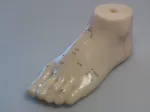 15cm long and 8cm tall plastic foot illustrating acupuncture points in Chinese characters and English numbers.