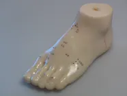 Acupuncture Foot Model 15cm