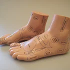 Reflexology Foot Model (Pair)