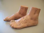 Pair of reflexology foot models.  Size (20cmX8cm). Flesh coloured, plastic foot model in pair (left and right).  All the main foot reflexology points (in English) are shown on both feet and ankles.