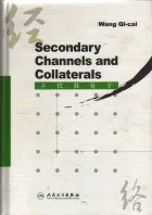 Secondary Channels and Collaterals