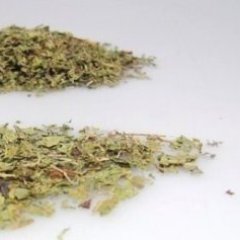 chinalife Organic Lemon Verbena Leaf Cut Herbal Tea