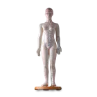 Female Model with Stand 47cm