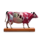 Cow Model